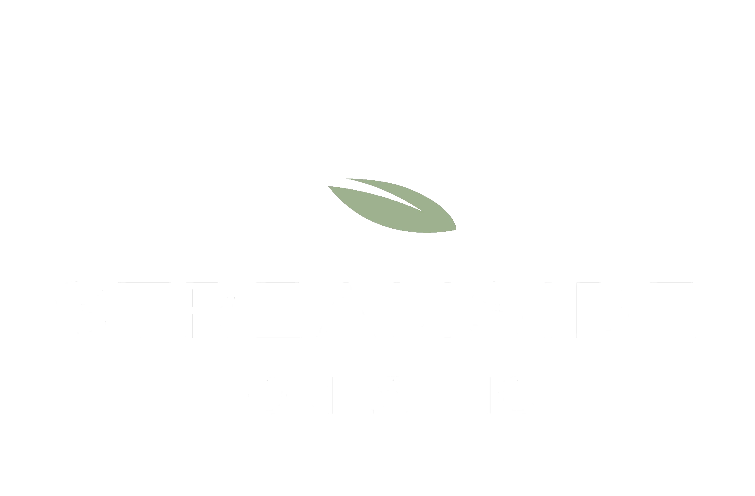 Streamside_2019 Logo_RGB_NEW-tx